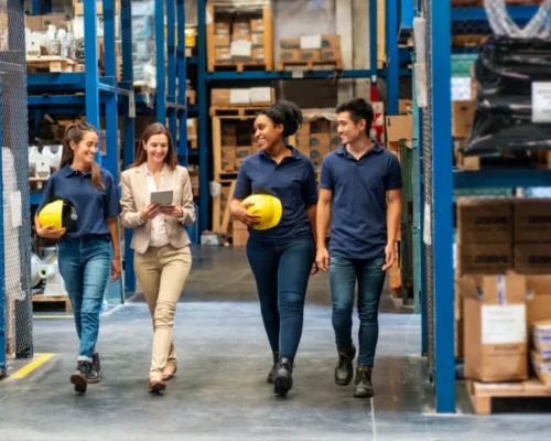 post: A Nova Era da Valorização dos Trabalhadores “Blue-Collar” e “New-Collar”